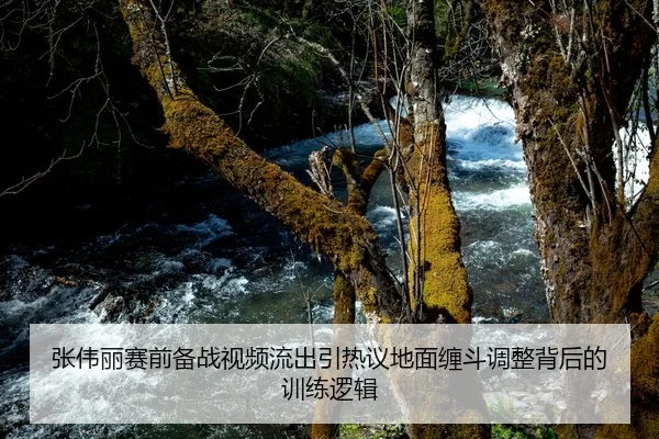 张伟丽赛前备战视频流出引热议地面缠斗调整背后的训练逻辑